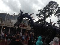IMG_6593.JPG