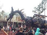 IMG_6597.JPG