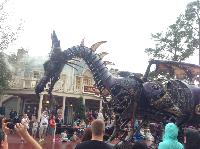IMG_6598.JPG