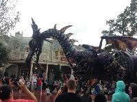 IMG_6599.JPG