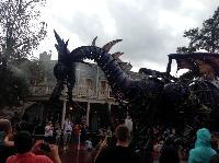 IMG_6601.JPG