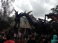 IMG_6602.JPG