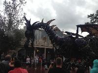 IMG_6603.JPG