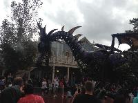 IMG_6604.JPG