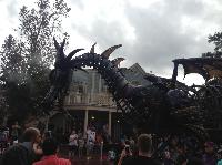 IMG_6606.JPG