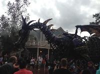 IMG_6607.JPG