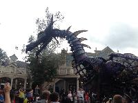 IMG_6611.JPG