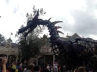 IMG_6612.JPG