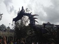 IMG_6616.JPG