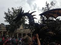 IMG_6630.JPG