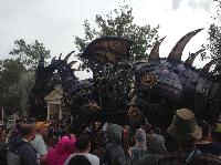 IMG_6647.JPG