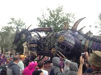 IMG_6648.JPG
