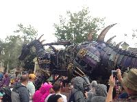 IMG_6649.JPG