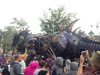 IMG_6652.JPG