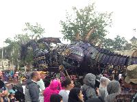 IMG_6655.JPG
