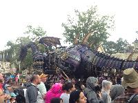 IMG_6657.JPG