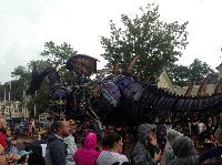 IMG_6660.JPG