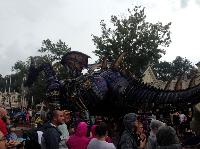 IMG_6661.JPG