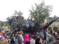 IMG_6663.JPG