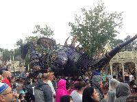 IMG_6664.JPG