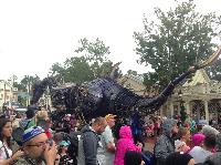 IMG_6672.JPG