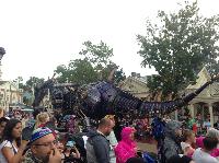 IMG_6674.JPG