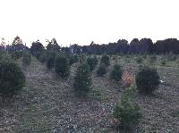 IMG_2790.JPG
