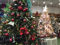 IMG_2796.JPG