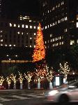 IMG_7549.JPG