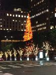 IMG_7550.JPG
