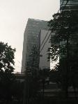 IMG_2343.JPG
