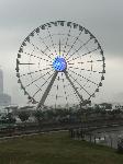 IMG_8050.JPG