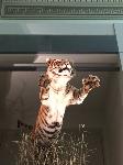 IMG_8311.JPG