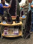 IMG_8319.JPG