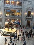 IMG_8320.JPG
