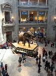 IMG_8321.JPG