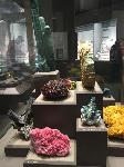 IMG_8338.JPG