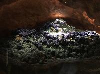 IMG_8349.JPG