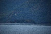 DSC_0071.JPG