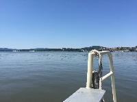 IMG_9093.JPG