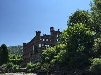 IMG_9123.JPG