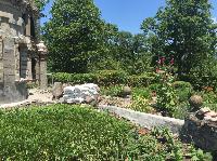 IMG_9185.JPG