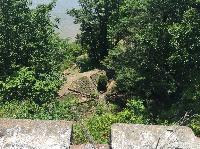 IMG_9193.JPG