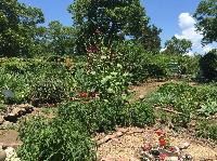 IMG_9198.JPG