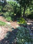 IMG_9200.JPG