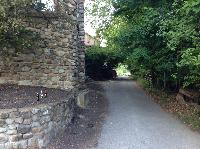IMG_4772.JPG