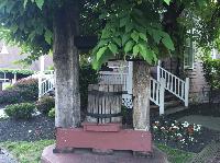 IMG_9086.JPG