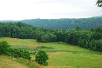 DSC_1523.JPG