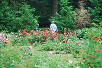 DSC_1582.JPG