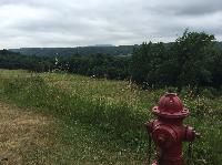 IMG_0619.JPG